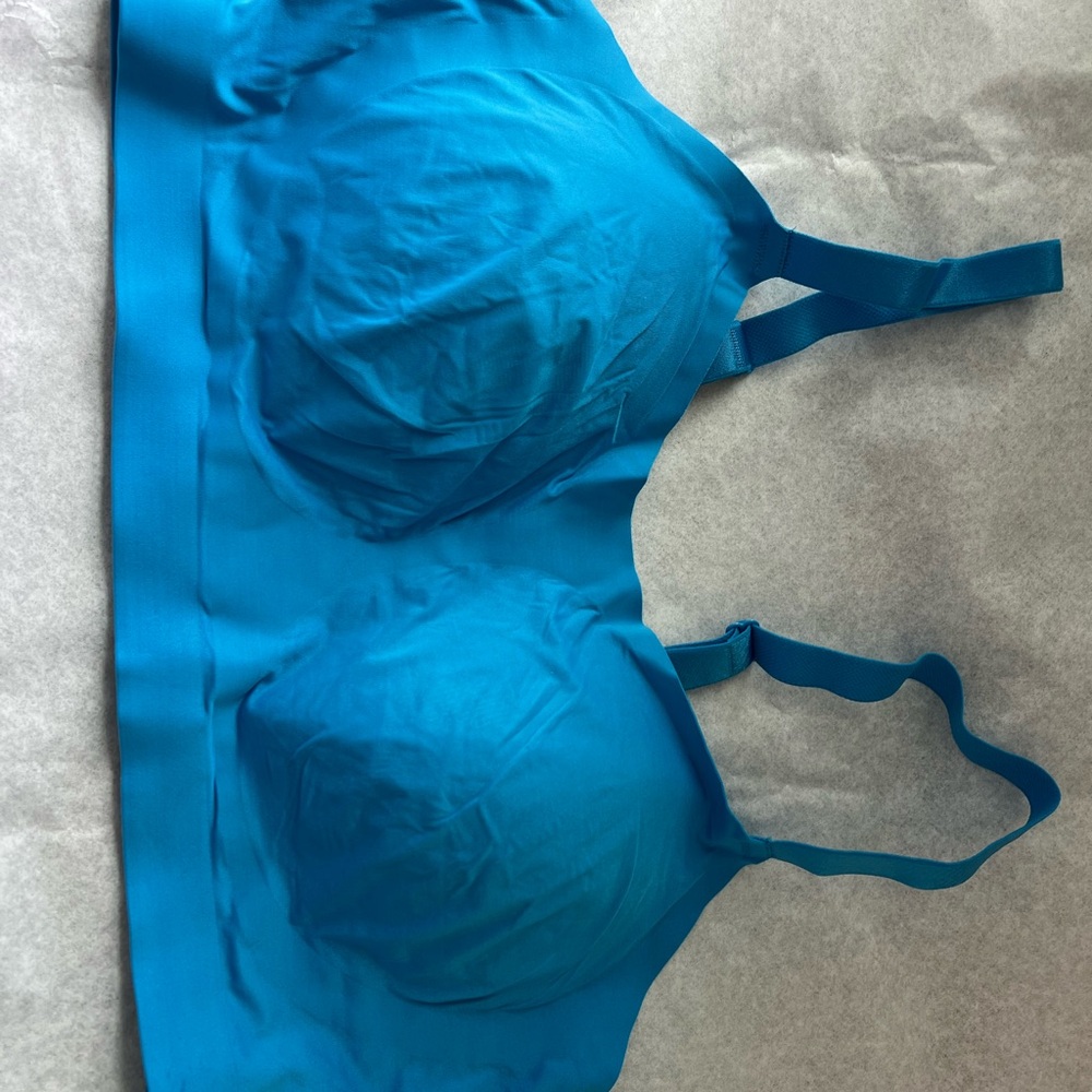 Seamless Blue Bra